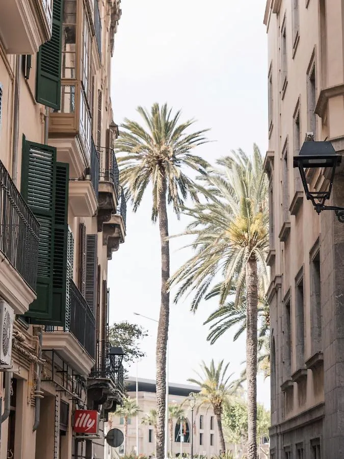 Apartamento Ocho Suites & Kitchen Palma de Maiorca